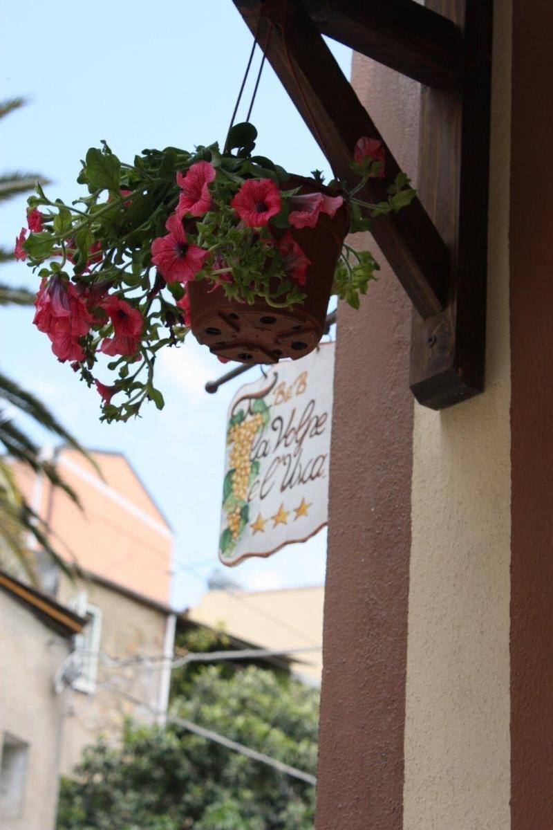 La Volpe E L'Uva B&B Piazza Armerina Exteriér fotografie